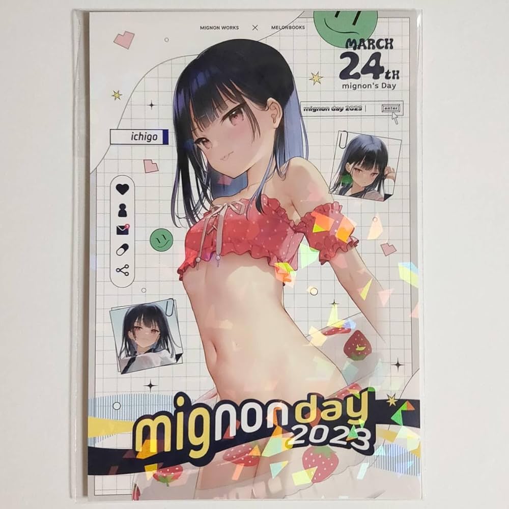 ★新品未開封 ★ メイメイ ポストカード付 Kept マルチ収納ファイル（ポストカードサイズ） シリーズ：Kept
